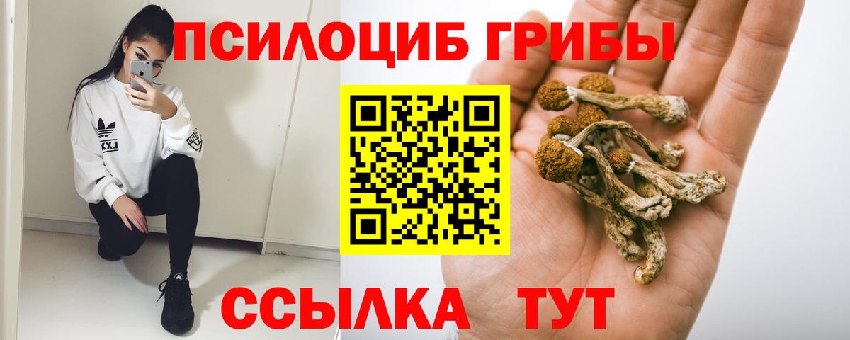 где продают наркотики  Вход с VPN  Горячий Ключ  Псилоцибиновые грибы Cubensis 
